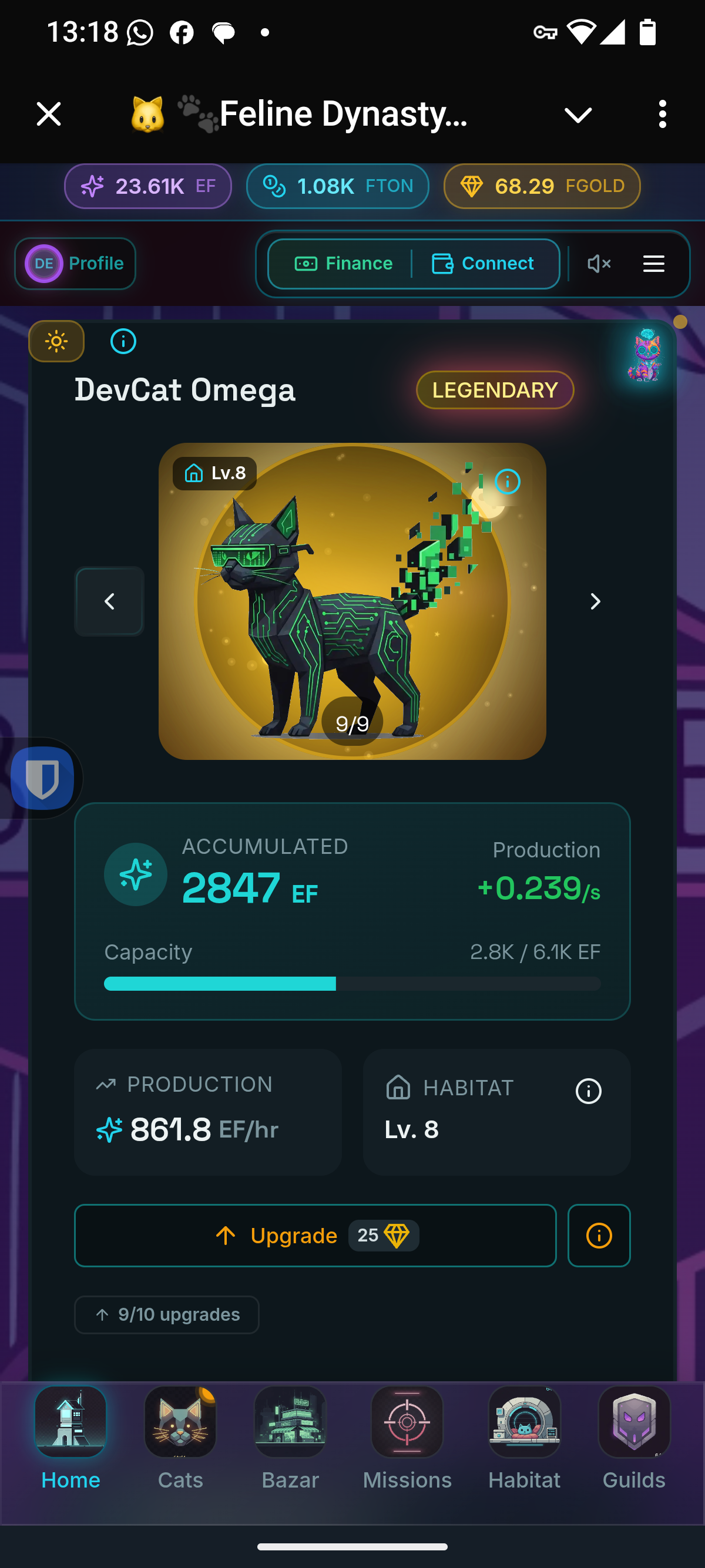 DevCat Omega - Legendary NFT Cat